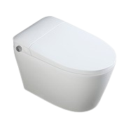 Tankless Water Closet
